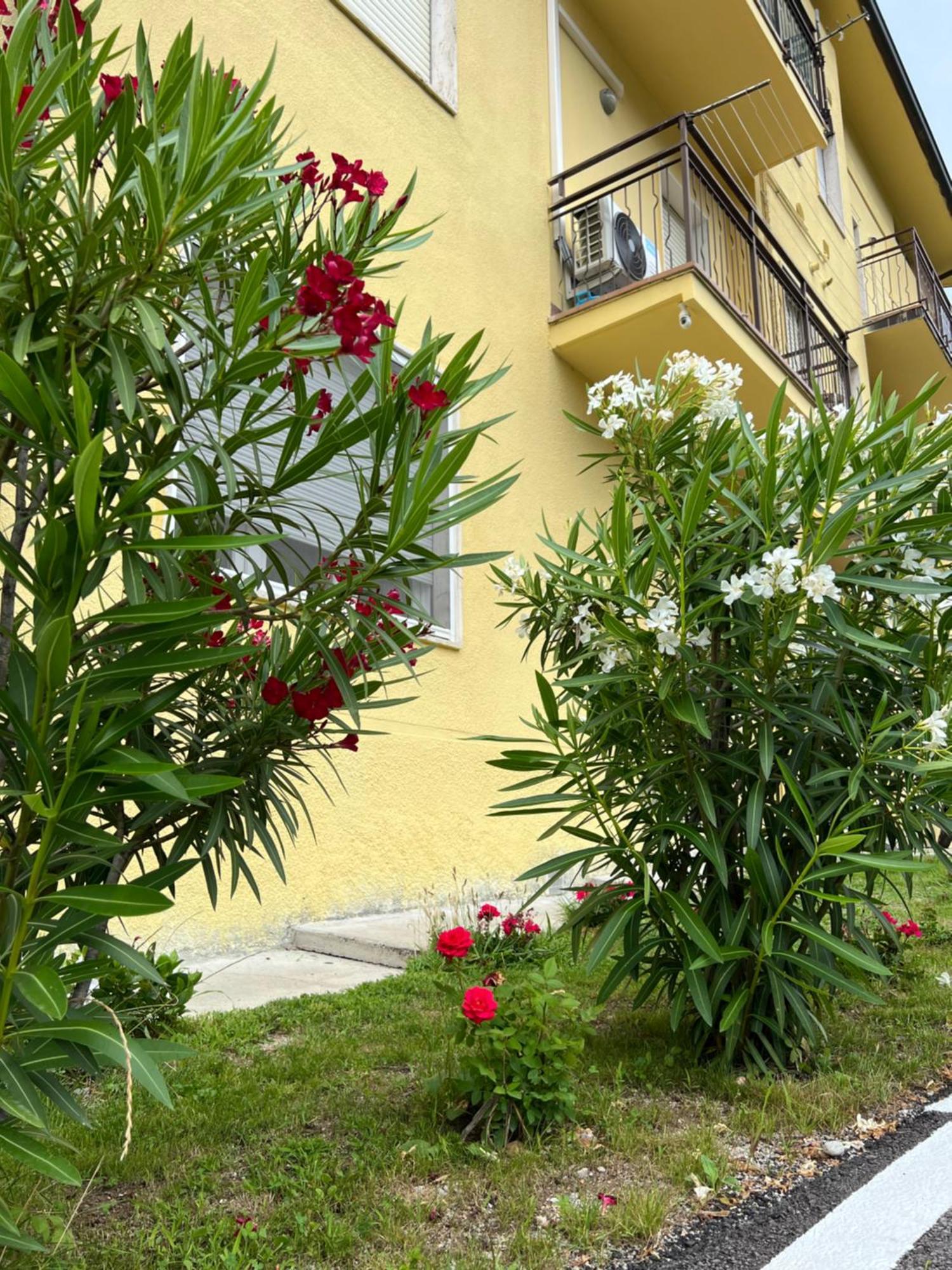 Casa R&E Villa Valbrona Екстериор снимка